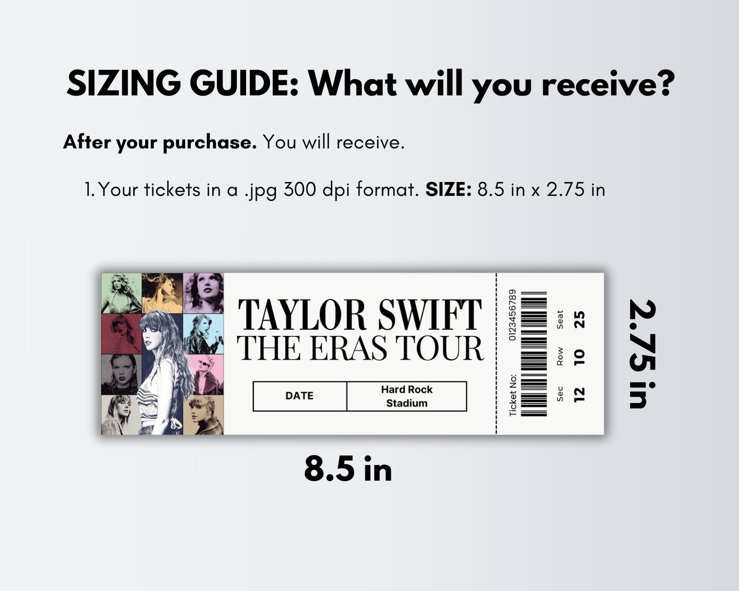 Taylor Swift The Eras Tour Custom Printable Template